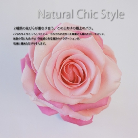 natural_chic03.jpg