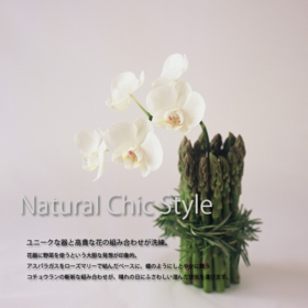 natural_chic04.jpg