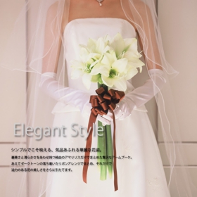 elegant01.jpg